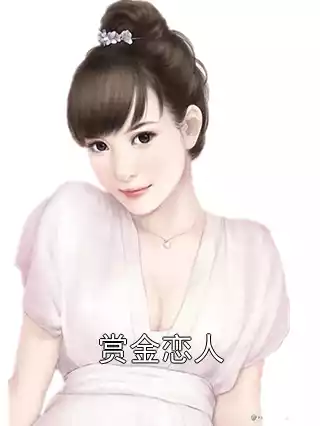 赏金恋人小说