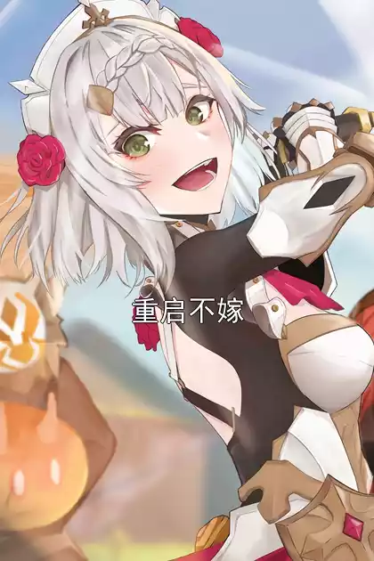 重启不嫁小说