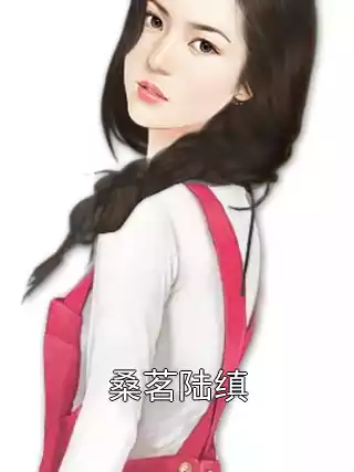 桑茗陆缜小说