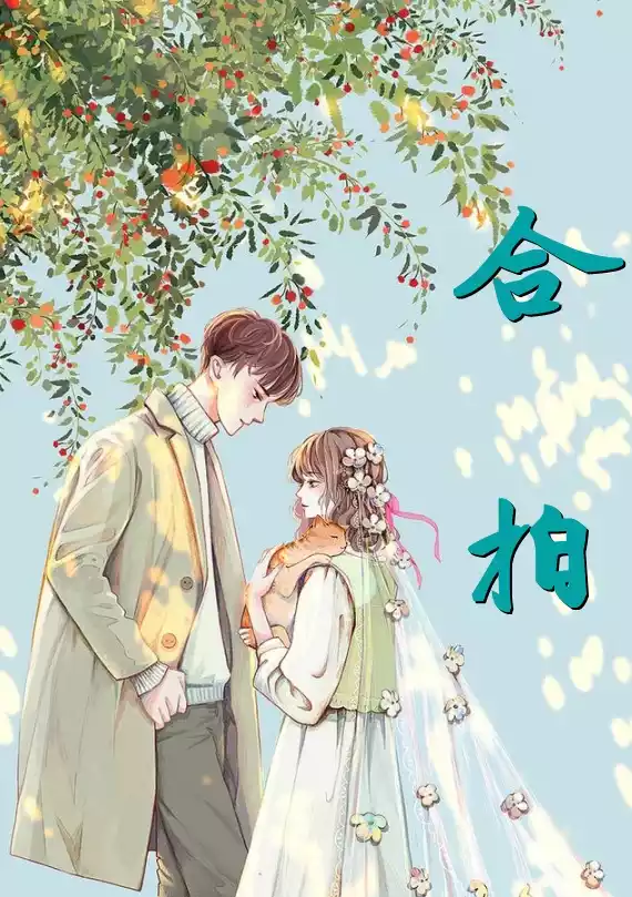 合拍小说