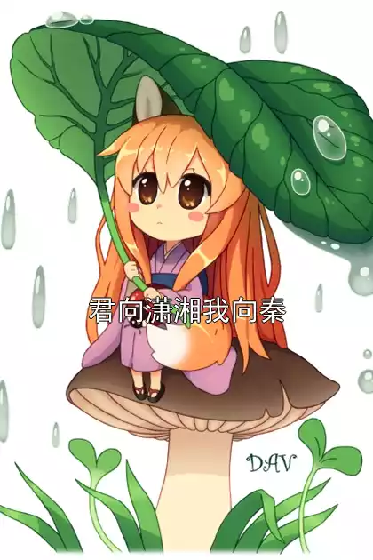 君向潇湘我向秦小说