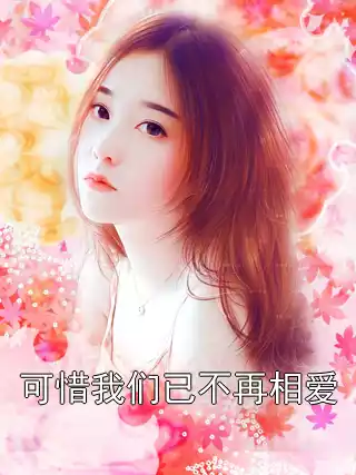 可惜我们已不再相爱小说