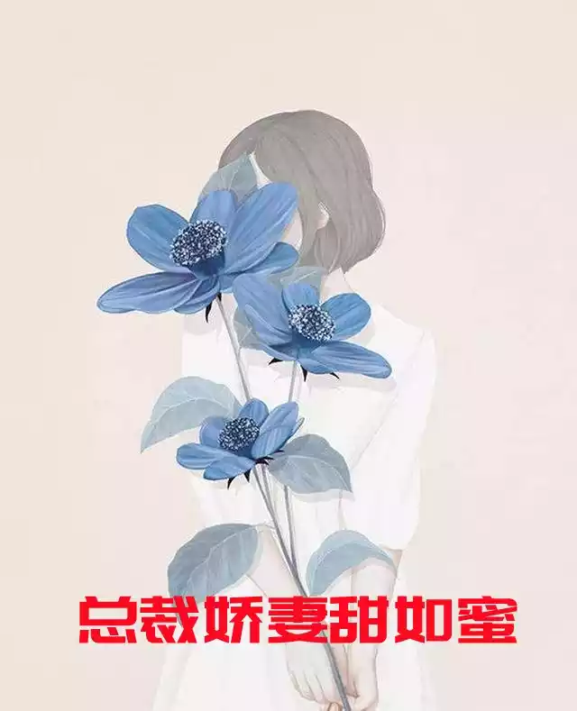 总裁娇妻甜如蜜小说
