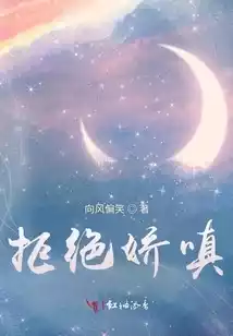 拒绝娇嗔小说