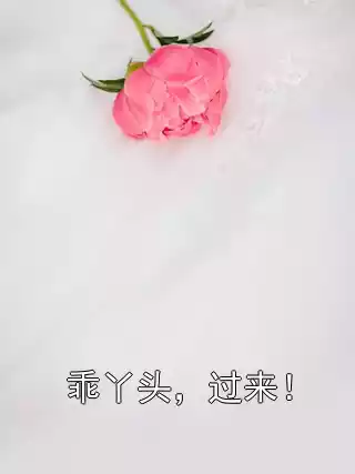 乖丫头，过来！小说
