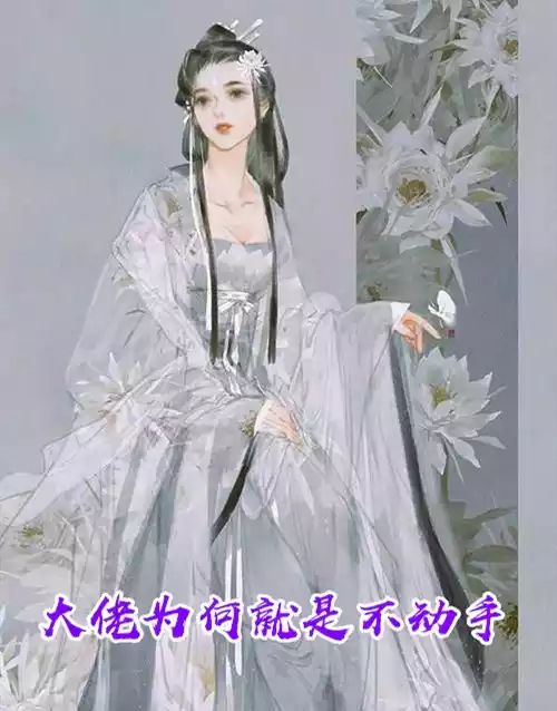 大佬为何就是不动手小说