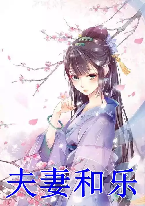 夫妻和乐小说