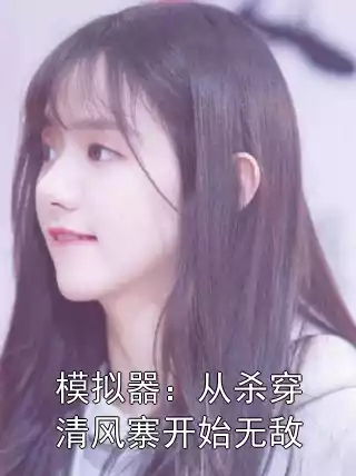 模拟器：从杀穿清风寨开始无敌