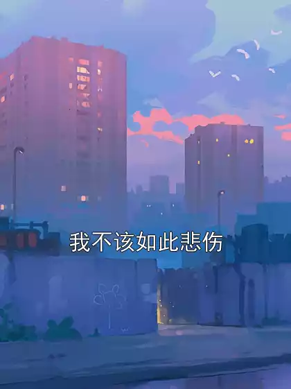 我不该如此悲伤小说