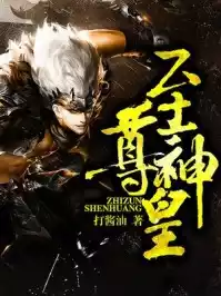 至尊神皇小说小说