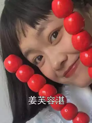 姜芙容湛小说