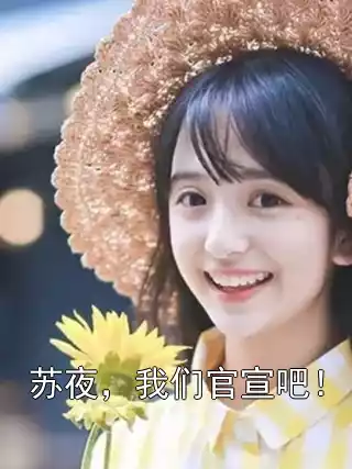 苏夜，我们官宣吧！小说