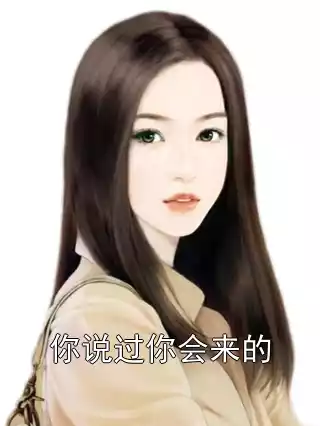 你说过你会来的小说