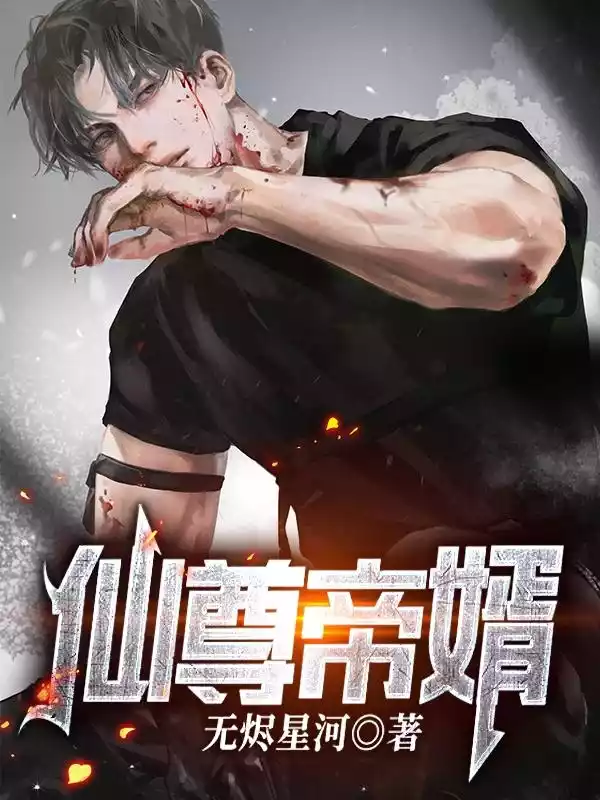 仙尊帝婿小说