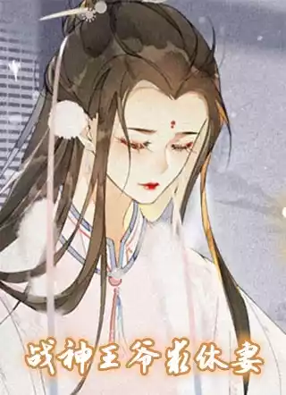 战神王爷求休妻小说