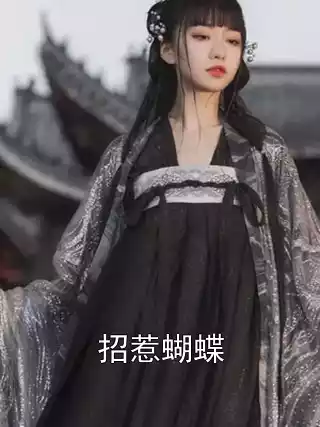 招惹蝴蝶小说