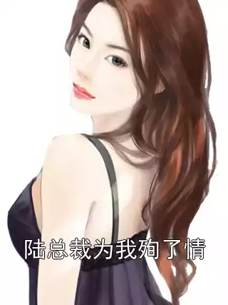 陆总裁为我殉了情小说