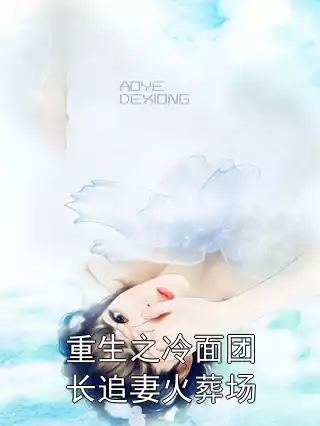 重生之冷面团长追妻火葬场