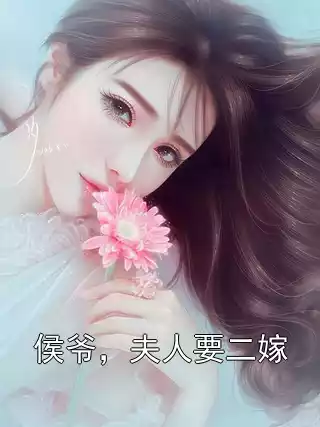 侯爷，夫人要二嫁小说