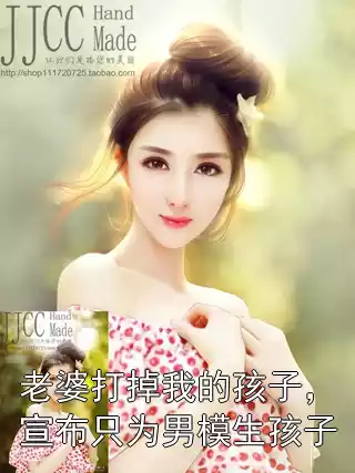老婆打掉我的孩子，宣布只为男模生孩子小说