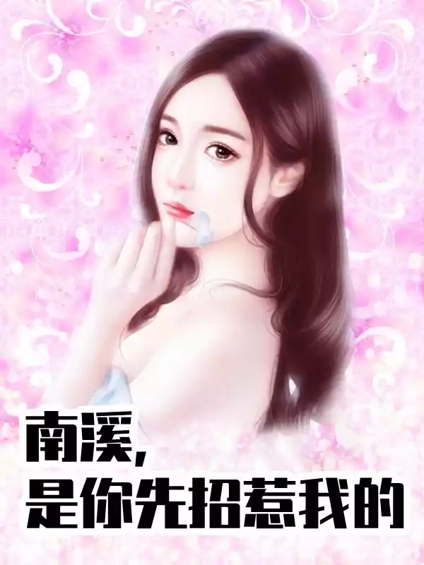 南溪是你先招惹我的小说