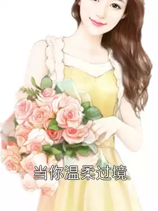 当你温柔过境