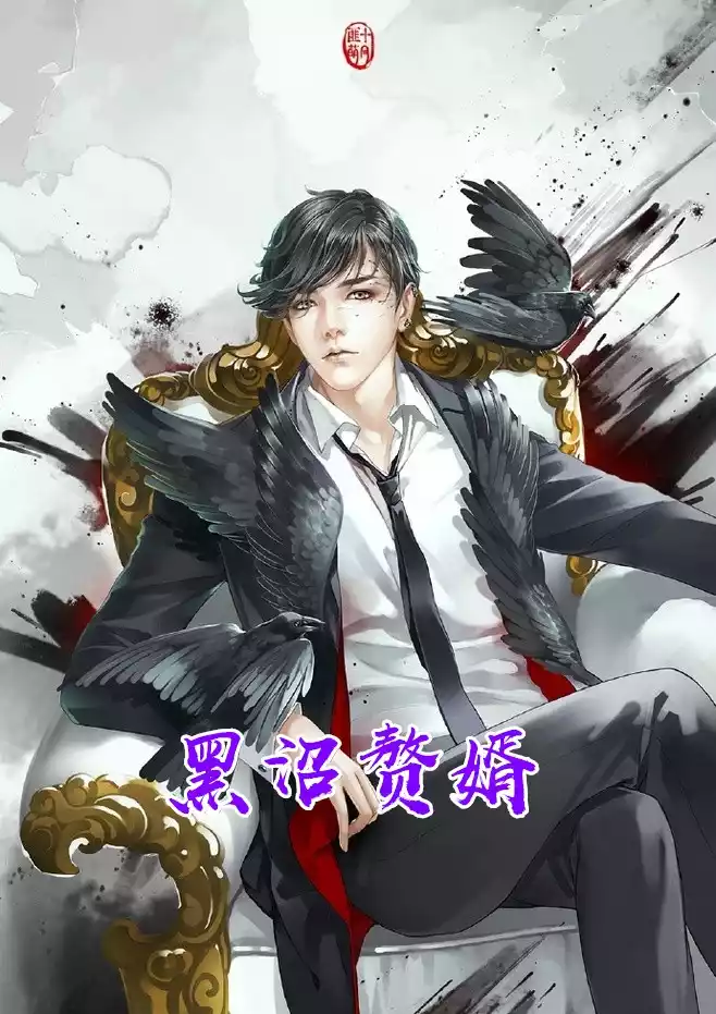 黑沼赘婿小说