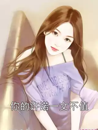 你的许诺一文不值小说