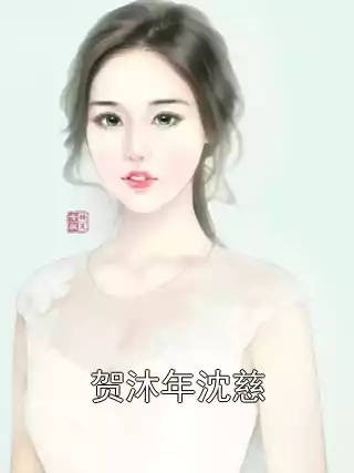 贺沐年沈慈小说