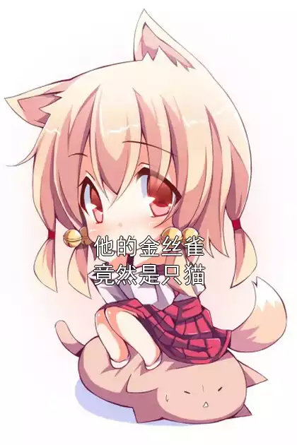 他的金丝雀竟然是只猫