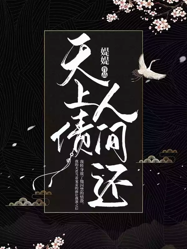 天上债人间还小说