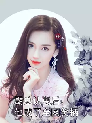霸总认崽后，他成了全网笑柄小说