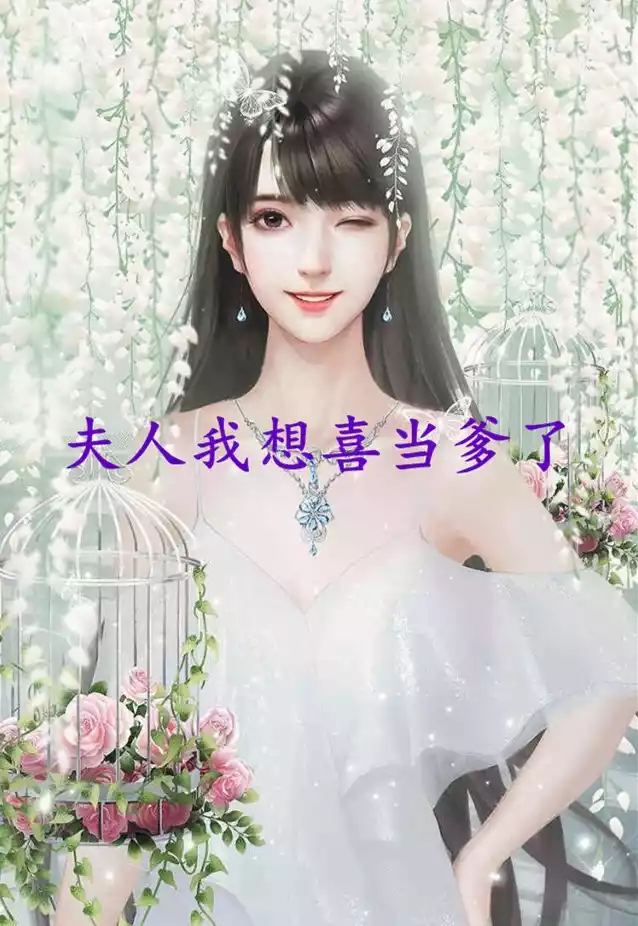 夫人我想喜当爹了小说