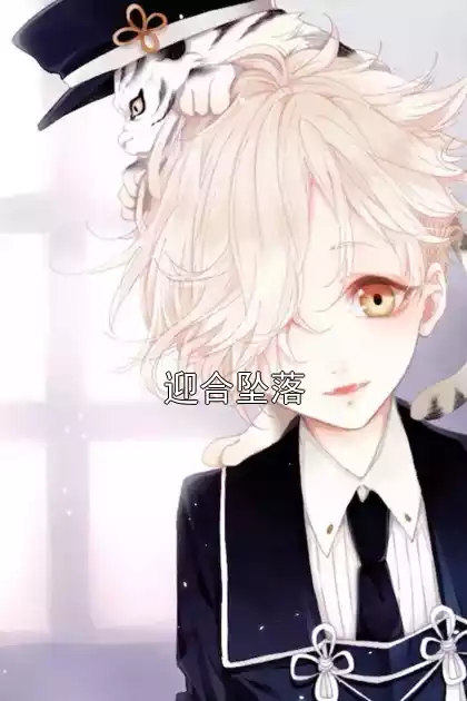 迎合坠落小说