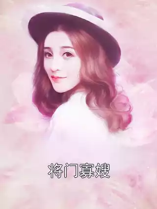 将门寡嫂小说