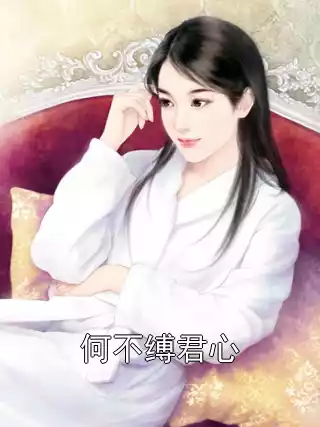 何不缚君心小说