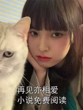 再见亦相爱小说免费阅读