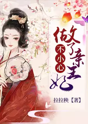 不小心做了亲王妃小说