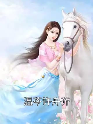 温芩许舟齐小说