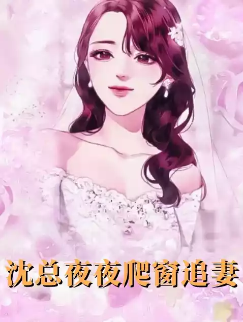 沈总夜夜爬窗追妻小说