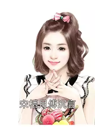 宋栖月傅沉言小说