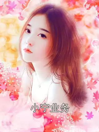 小宁业务小说