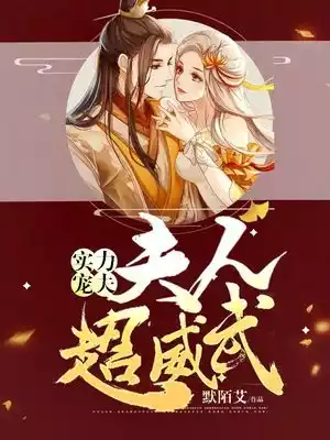实力宠夫夫人超威武小说