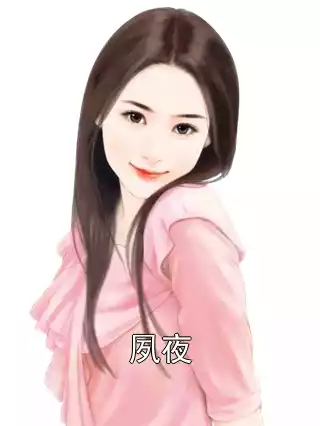 夙夜小说