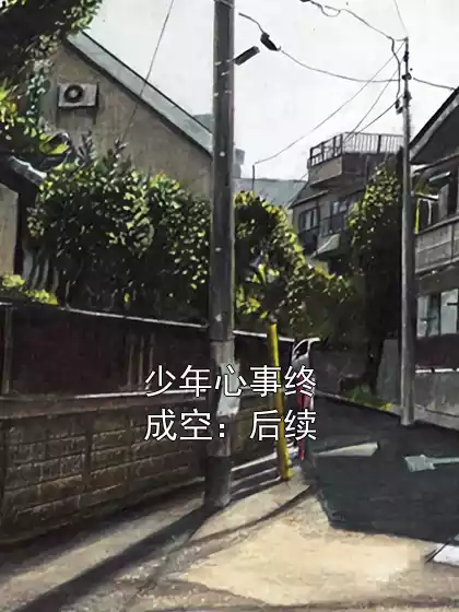 少年心事终成空：后续