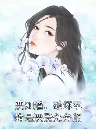 要知道，破坏军婚是要受处分的小说