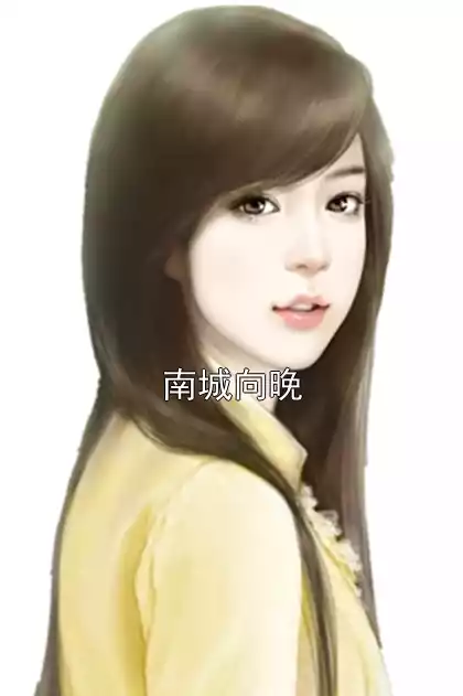 南城向晚小说