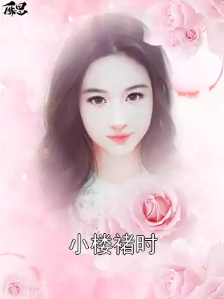 小楼褚时小说