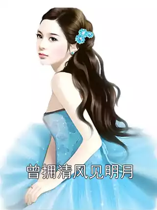 曾拥清风见明月小说