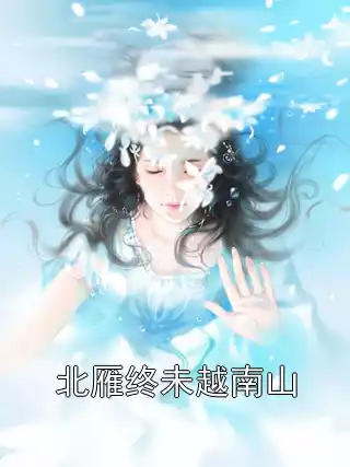 北雁终未越南山